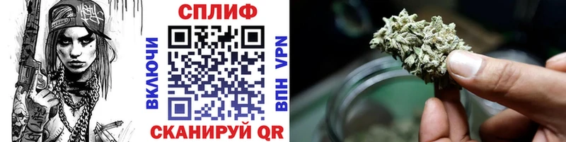 Каннабис сатива  Кулебаки 